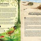 Textausschnitt: "HARTE SCHALE - Du bist jetzt ein Hylonomus - Vor 315 Millionen Jahren." Links grüne Natur, rechts Strand und Pfeilschwanzkrebse.