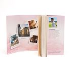 Texte: "Ashdown", "Friends to Lovers", "Liebe, die ewig anmutet", "Familientreffen und Zukunftssorgen", "ALI KASSEMYAR". Beiges Buch auf rosa Hintergrund mit Fotos.
