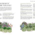 "BLÜHSTREIFEN FÜR MEHR VIELFALT" - Texte über verschiedene Pflanzenarten und Anordnung, ergänzt durch eine farbige Illustration.