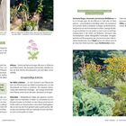 "So pflegst du deinen Topfgarten" beschreibt Pflegehinweise. Farbfotos zeigen Pflanzen in Töpfen und einen Holzkasten mit Kräutern.