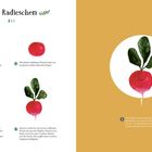 Illustration: Anleitung zum Malen eines Radieschens namens Rita. Schritte von Skizze zu farbiger Zeichnung.