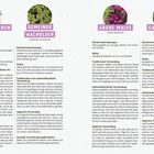 **GÄNSEBLÜMCHEN**, **GEMEINER WACHOLDER**, **GROßE MALVE**, **GUNDERMANN**  
Gartenübersicht mit Pflanzenporträts, Standortanforderungen und Verwendung.