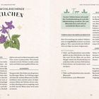 Das Wohlriechende Veilchen. Allgemeines Wissen, Aussehen, Anwendung in der Naturheilkunde und Küche, Altes Wissen. Illustration.