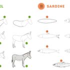 Links steht "32 ESEL", rechts "33 SARDINE". Darunter schrittweise Zeichnungen der Tiere.