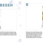 Titel: HEXENBESEN. Links: Skizze eines Besens. Rechts: kolorierter Besen mit braunem Stiel und Details zur Holzstruktur.