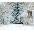 Der Text lautet "Foto: dpa". Zu sehen ist eine winterliche Waldszene mit Schnee bedeckten Bäumen und einem Hochsitz.