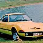 Kennzeichen "GG-R 194", gelber Sportwagen, steht auf einer Wiese vor einem See, Detail von Scheinwerfern und Linien.