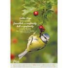 Gottes Auge blicke auf dich, freundlich und sanftmütig, hell und großzügig zu jeder Stunde. Ein Vogel an roten Beeren. Mai.