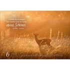 Zitat: "Je schneller wir uns bewegen, desto schlechter stehen die Chancen, etwas Schönes zu sehen." Kalender: Juni. Silhouette eines Rehs in goldener Landschaft.