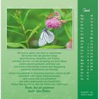 Juni: So 13 bis Sa 12; Zitat über Freundschaft und Unterschiede. Zwei Schmetterlinge auf rosa Blüte.