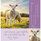 Texte: "Mai" und Psalm 91,11. Ein Lamm steht auf einer grünen Wiese bei Sonnenuntergang, daneben ein Kalender.