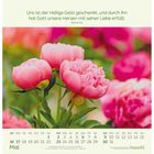 Zitat: "Uns ist der Heilige Geist geschenkt...". Kalenderblatt Mai. Pfingstrosen in Rosa vor unscharfem Hintergrund.