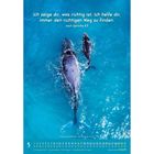 Text: „Ich zeige dir, was richtig ist. Ich helfe dir, immer den richtigen Weg zu finden. nach Sprüche 4,11.“  
Beschreibung: Zwei Wale im Meer.