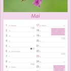 Mai-Kalenderseite; rosa Blume und Biene; Tipps für insektenfreundliche Pflanzen und Gartengestaltung.
