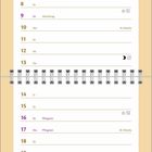 Mai. Muttertag, Christi Himmelfahrt, Pfingsten. Ein verspielter, grau getigerter Kater draußen auf grünem Gras.