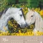 „Mai“ steht prominent, darunter ein Kalendarium. Zwei Pferde berühren sanft ihre Köpfe, umgeben von gelben Blumen.