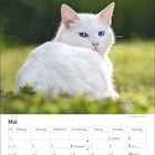 Mai-Kalender mit Feiertagen: Maifeiertag, Muttertag, Christi Himmelfahrt, Pfingsten. Weiße Katze im Gras.