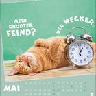 Text: "Mein größter Feind? Der Wecker." Mai Kalenderblatt mit einer liegenden, entspannten roten Katze neben einem Wecker.