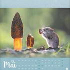Kalenderseite Mai. Ein kleiner Nager sitzt neben zwei Morcheln im Sonnenlicht. Hintergrund unscharf grün.