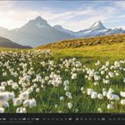05, 01–09, 10–13, 16–23, 24–31. Eine blühende Wiese mit weißen Blumen, dahinter majestätische schneebedeckte Berge.