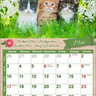 Text: "Trockener Mai – Wehgeschrei, feuchter Mai – bringt Glück herbei." Mai-Kalender mit drei Kätzchen und Blumen.