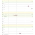 Kalendertabelle für Mai mit Feiertagen wie Maifeiertag, Christi Himmelfahrt und Pfingsten. Illustration eines Jungen mit Fuchs.