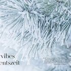 Wintervibes und Adventszeit. Nadelbaumzweige mit Schnee bedeckt, rechts ein Zapfen, winterliche Atmosphäre.