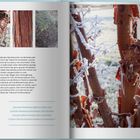 Seitenzahlen 10 und 11, Zitat in blau: „Bei den Gehölzen gibt es stille und schüchterne Rindenschönheiten...Wintermonate bunter zu machen." Links: Text und Baumrindenfotos; rechts: vereiste, rötliche Baumstämme.