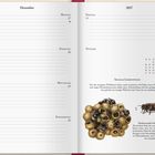Kalender für Dezember 2027. Text über soziale Lebensweise von Wildbienen, begleitet von Illustrationen von Bienen und einem Nest.