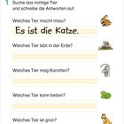 Fragesätze verstehen: Fünf Fragen zu Tieren, darunter Bilder von Hase, Maulwurf, Katze, Frosch und Hund.