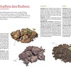 Eigenschaften des Bodens: Ton, Schluff, Sand. Beschreibungen ihrer Aussehen, physikalischen und landwirtschaftlichen Eigenschaften.