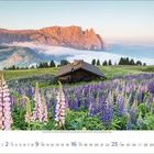 5. Mai 2023. Kalender mit Berghütte in einem Feld voller bunter Lupinen und Bergpanorama im Hintergrund.