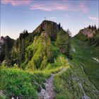 Ein schmaler Pfad führt einen grünen Bergrücken hinauf zu einem Gipfelkreuz, umgeben von Nadelbäumen und rosa Himmel.