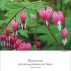 "Blumen sind die Liebesgedanken der Natur." April-Kalenderwoche mit Foto von rosa Tränenden Herzen.