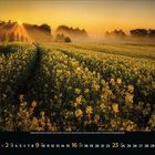 Kalenderseite für Mai 2021. Feld mit gelben Blumen im Sonnenuntergang, Nebel und Bäume im Hintergrund.