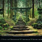 5, Mai 2022. Steintreppe führt durch einen Wald mit Torii und Laternen, umgeben von hohen Bäumen.