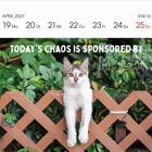 "Today's chaos is sponsored by my cat." Kalender: April 2027, Woche 16. Katze klettert über einen Holzzaun vor grünen Blättern.