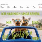 Text: "Ich hab mich umgesehen. Wir sind die Geilsten hier!" Zwei Hunde mit Sonnenbrillen in einem blauen Auto.