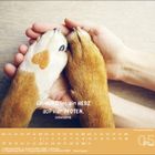 "Ein HUND ist ein HERZ auf vier PFOTEN. Unbekannt." Zwei Hunde-Pfoten in menschlichen Händen, eine mit herzförmigem Fleck.