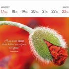 Mai 2027 Kalender, Woche 20. Zitat: "Man muss immer etwas haben, worauf man sich freut!"–Eduard Mörike. Bild: Blühende Knospe.