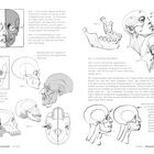 Abbildung 1 bis 6 zeigen Schädel- und Kieferstudien mit textlichen Erklärungen zu Proportionen, Muskelkraft und Geschlechtsmerkmalen.