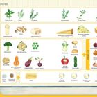 Text oben: "31 Tartes & Gratins". Pfeile links: "Anrichten", "Backen", "Gemüse - in Scheiben oder gewürfelt" und "Schichten". 
Illustration zeigt Kräuter, Käse, Gemüse, Grundlagen.