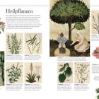 GOTTES MACHT UND BÖSE GEISTER: Magie im Mittelalter. Illustration zeigt christliche Szene mit Märtyrern und Engeln.