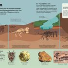 "Fossilien" erklärt die Entstehung und Erhaltung von Dinosaurierfossilien. Illustrationen zeigen den Prozess der Fossilbildung.