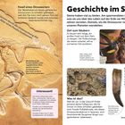 Fossil eines Dinosauriers. Skelettabdruck eines gefiederten Dinosauriers, Archaeopteryx. Geschichte im Stein. Alte Zähne.