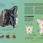 ELEKTRONENORBITALE: Haupttexte erklären die Struktur und Anordnung von Orbitalen. Diagramme zeigen Orbitalformen und Elektronenkonfigurationen. Diagramme und Illustrationen verdeutlichen Konzepte.