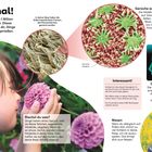 "Riech mal! Der Mensch kann etwa 1 Billion Gerüche unterscheiden. Dieser unglaubliche Sinn hilft dir, Dinge zu schmecken."