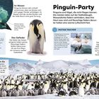 "Pinguin-Party: Pinguine sind Vögel, die nicht fliegen können. Die meisten leben auf der Südhalbkugel." Mehrere Bilder von Pinguinen.
