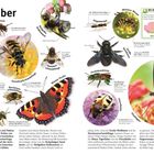 Text: „Bestäuber“, „Rotpelzige Sandbiene“, „Totenkopfschwärmer“, „Große Holzbiene“. Insekten und Schmetterlinge abgebildet.