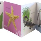 Ein Leporello mit den Wörtern: "Tiere, der Elefant, der Seestern, das Krokodil, der Pinguin, der Eisbär" zeigt verschiedene Tiere.